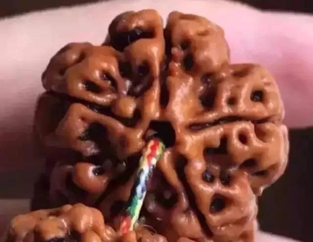 这些金刚的替代品，你们都有买过吗？