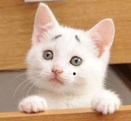 长在什么部位的痣最危险,长在哪些部位的痣需要特别注意