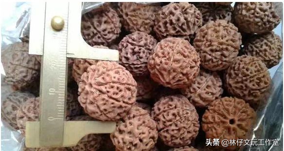 尼泊尔大金刚与落地红的简单区别,印尼大金刚就是落地红吗