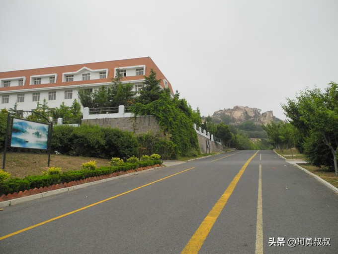 经验分享百强榜,青岛二中顶尖学子