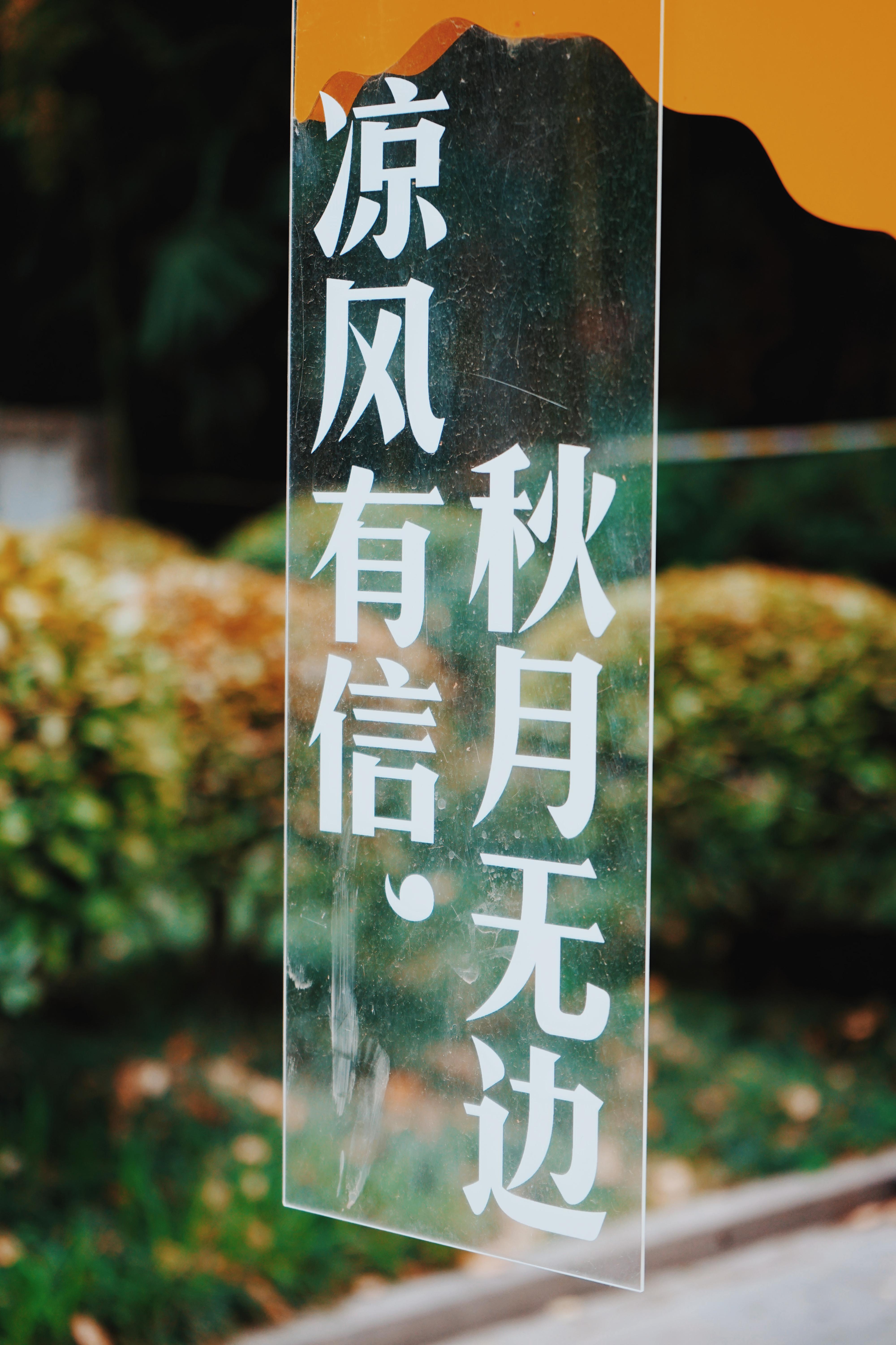 森林公园清凉山,清凉山一道美丽的风景线