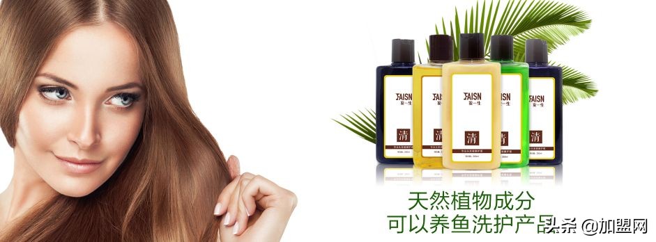 高回报加盟市场前景,加盟商机100种方法