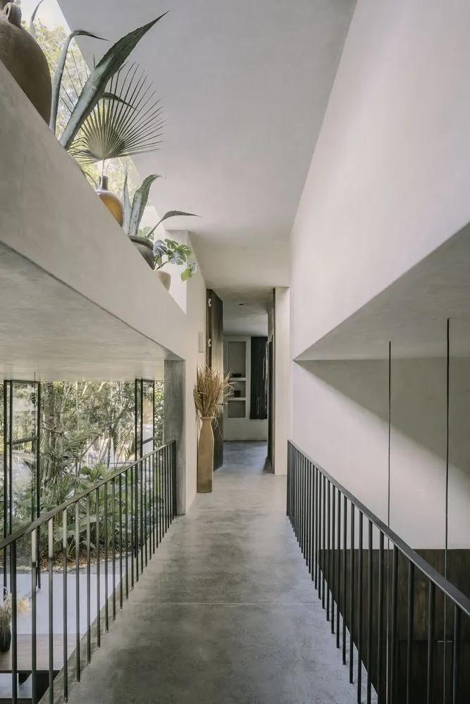 CO-LAB|自然系住宅