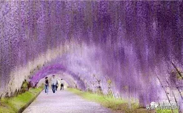 湄洲岛好玩还是九龙谷,去莆田先到九龙谷还是湄洲岛