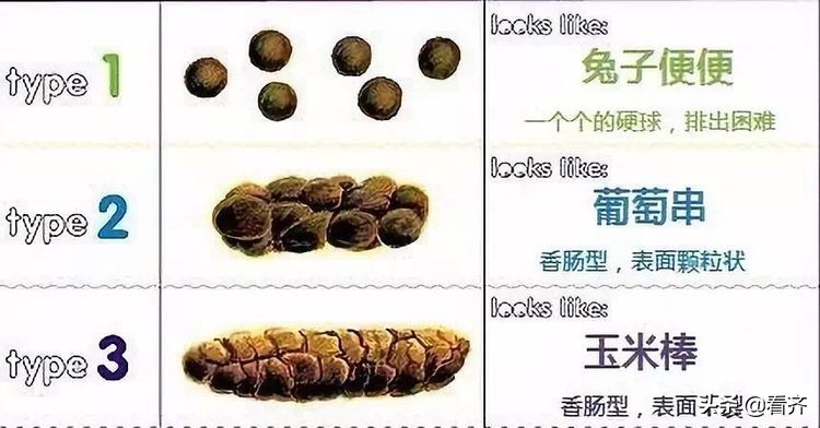 一岁的宝宝吃饭便秘拉屎费力,哈尔滨儿童医院婴儿便秘