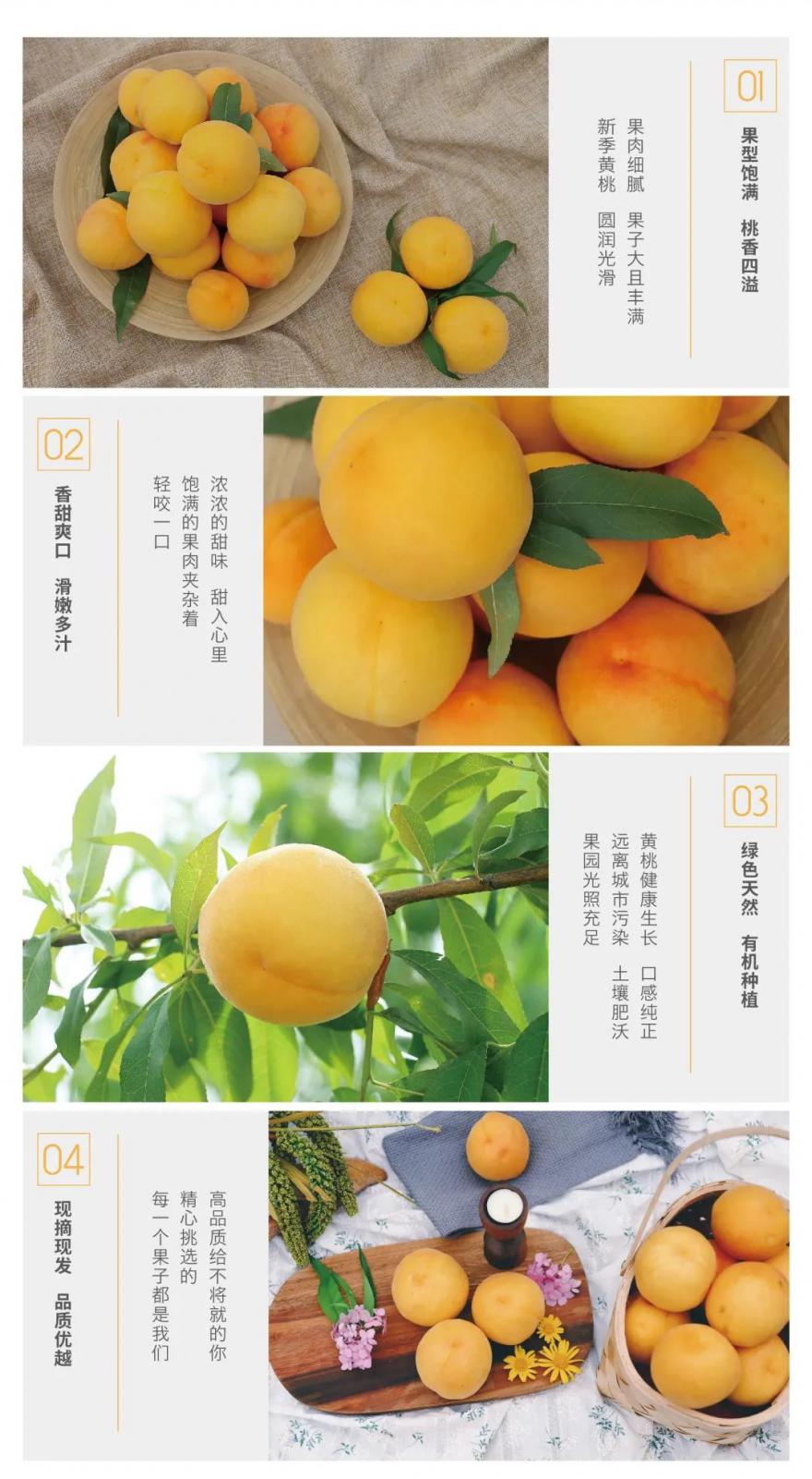 青白江特色旅游商品来啦！快来看有没有你的“心头好”