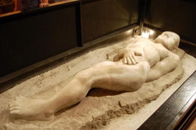 现实中拍摄到的翼龙,一百年前翼龙照片