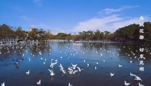 昆明哪有好玩的地方,昆明市内有什么好玩的地方