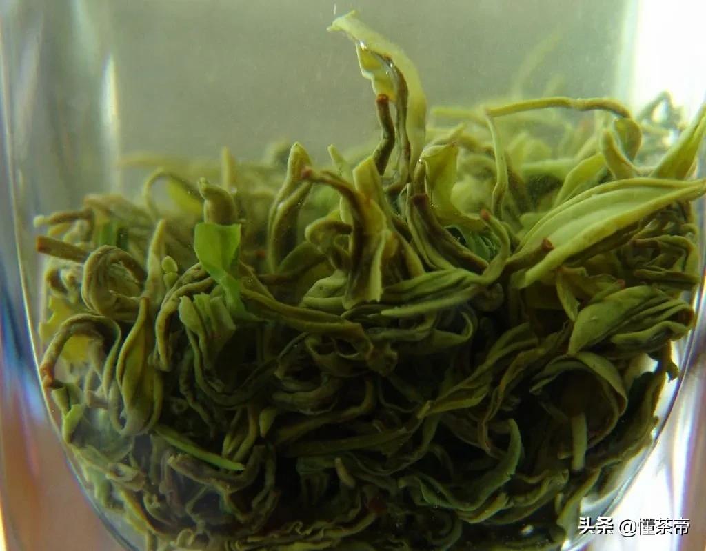 毛峰茶正宗黄山毛峰,黄山毛峰到底是什么茶