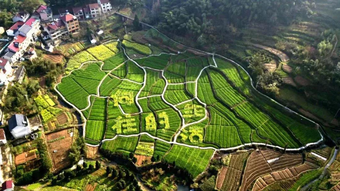 钱塘江画卷,钱塘江画作