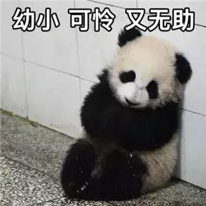 脱发严重头特别冷,头顶脱发而且是凉的