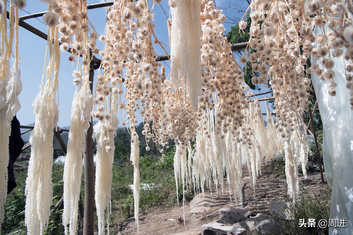 56岁搬运工,农村小伙土特产搬运工