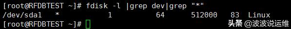 详解Linux获取启动盘路径命令--fdisk、sfdisk-l、lsblk