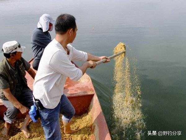 野钓找鱼窝最佳方法,野钓自己做窝料怎么做的