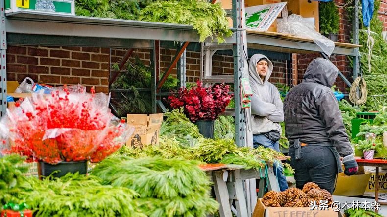 加拿大多伦多生活日记,加拿大多伦多留学生活纪实