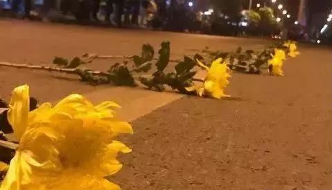 鍚戞鑰岀敓娑呯洏閲嶇敓,娴寸伀娑呯洏鍚戦槼鑰岀敓