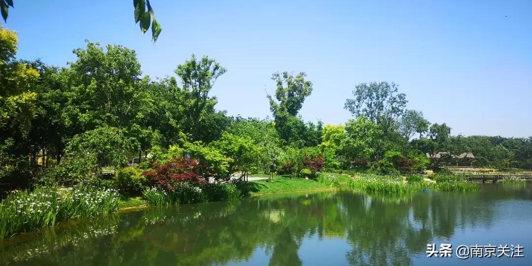 南京市溧水区三叶梦华苑,溧水梦华苑最新消息