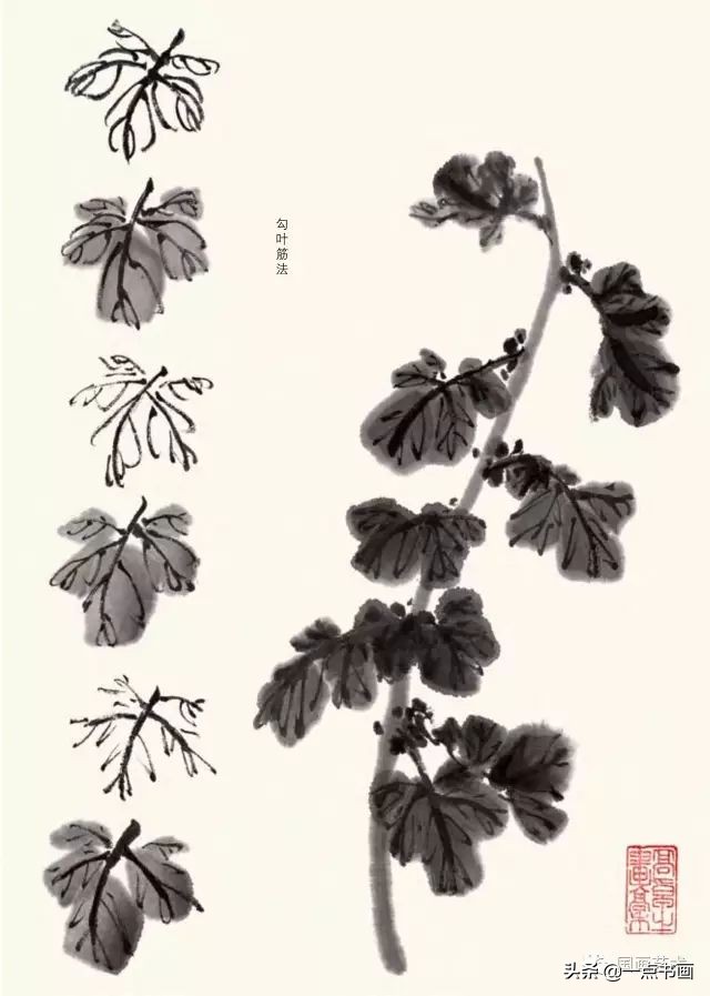 怎样画菊花国画,徐湛画菊花国画入门教程