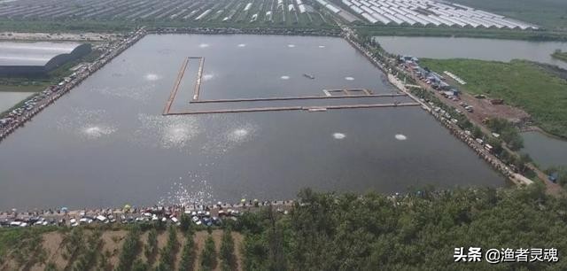 天津最大黑坑钓场静海花园多少钱,黑坑静海花园钓鱼