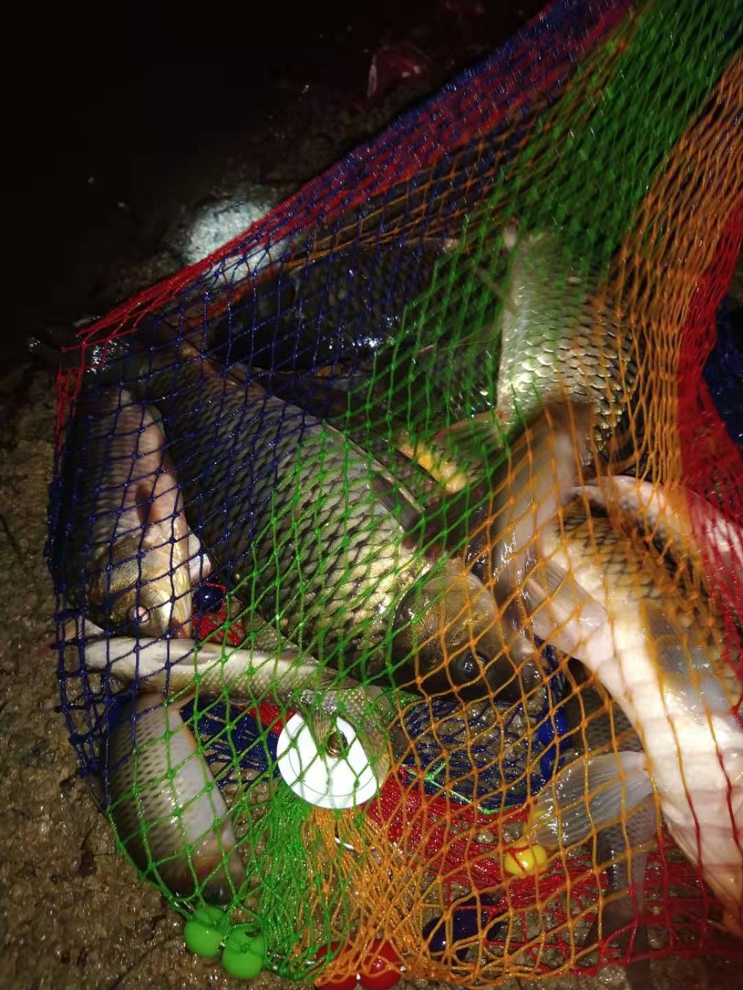 500g大鲫大鲤钓鱼添加剂,钓鱼小药添加剂一瓶搞定价格表