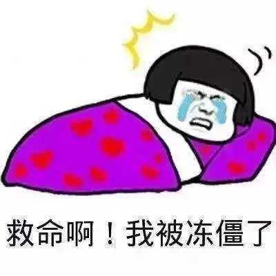 梅花山凝冻,梅花山凝冻最新情况