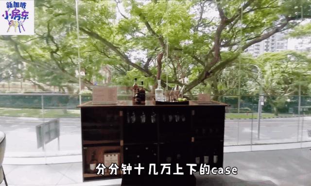 新加坡柏皓顶级豪宅户型图,新加坡乌节路豪宅铂瑞雅居