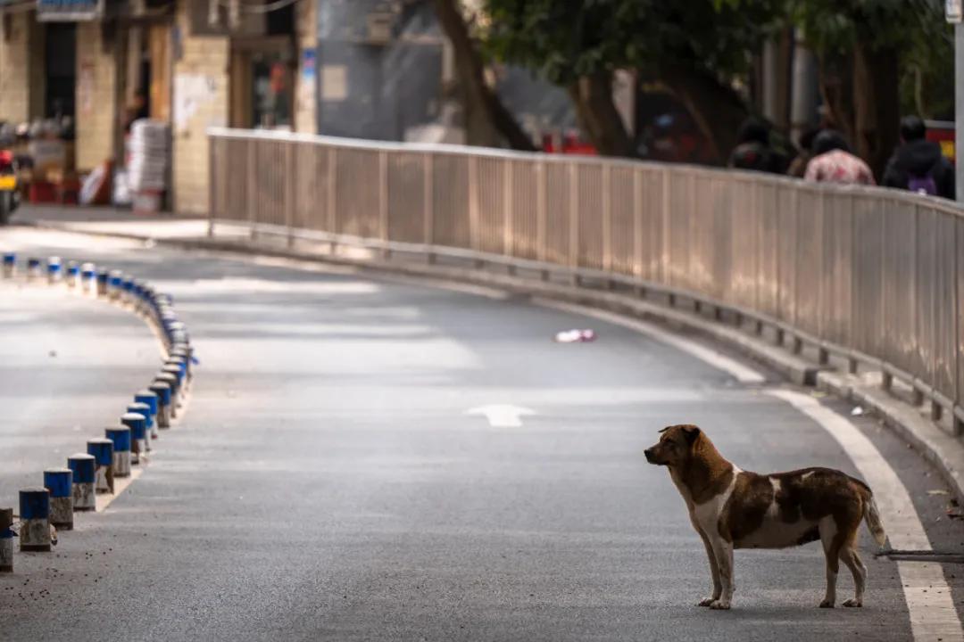松下有哪些全幅变焦镜头,松下70-200f2.8