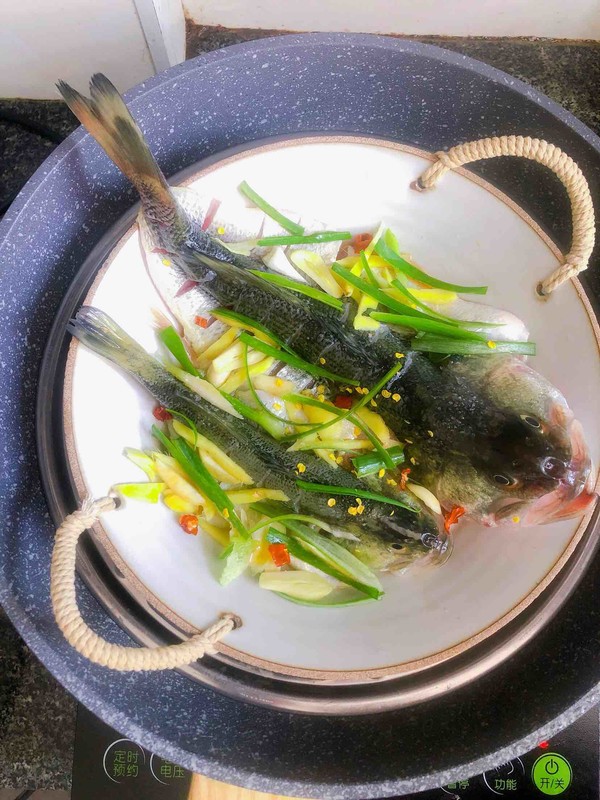 蒸鱼豉油蒸鲈鱼的做法,豉汁蒸鲈鱼的正确做法