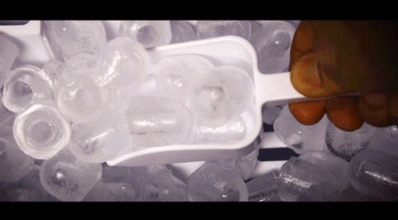 野生奶茶视频,野生奶茶和人工奶茶哪个出状态快