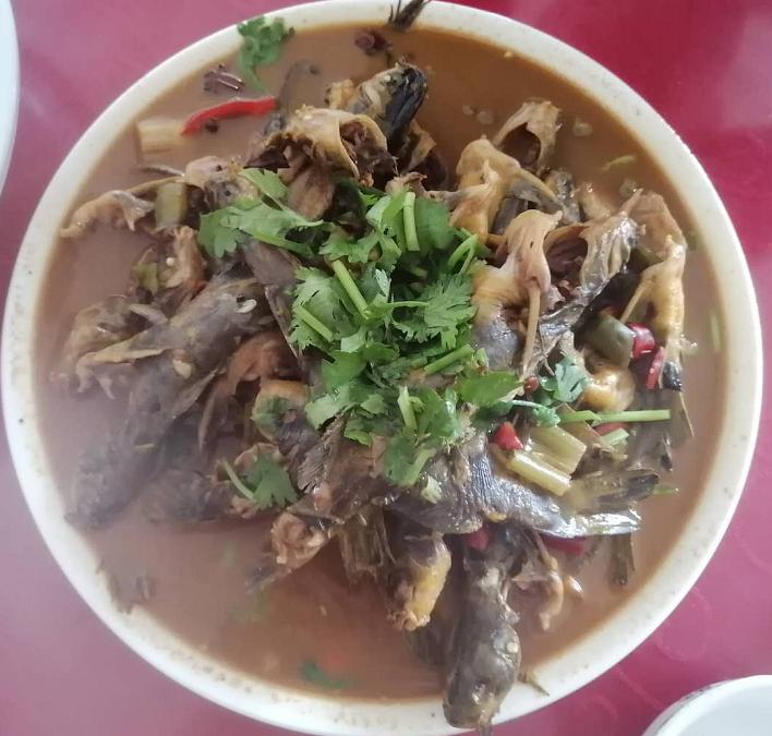 济宁做微山湖鱼最正宗的地方,微山当地人去的鱼馆