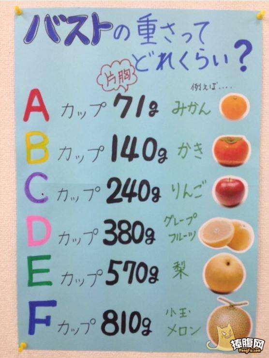 女生丰胸的十大好习惯,丰胸最重要是乳腺还是脂肪