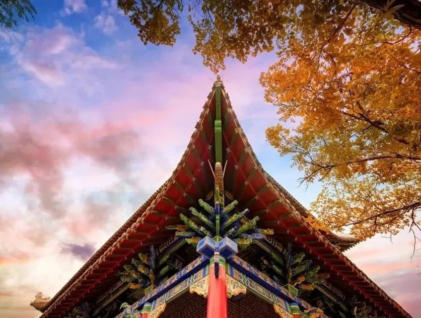 仙鹤起舞水粉画,仙鹤起舞展翅飞