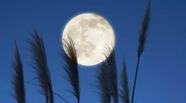 杜甫写天末怀李白的背景,文章憎命达的下一句