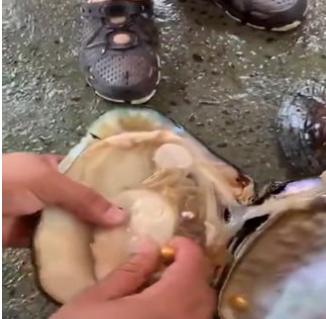 四种现场加工*局骗**,展会上看到后,有多远离它多远。