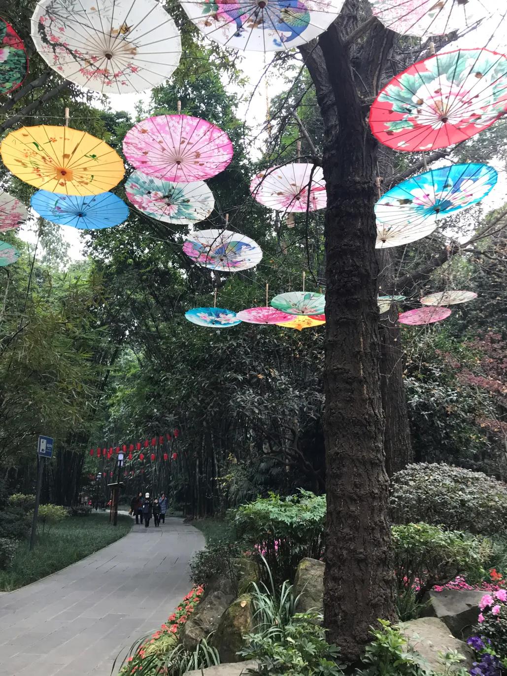 成都望江楼公园简介,成都望江楼公园要门票吗