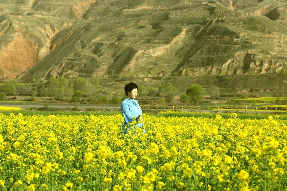 最美武山油菜花,湖口武山油菜花基地