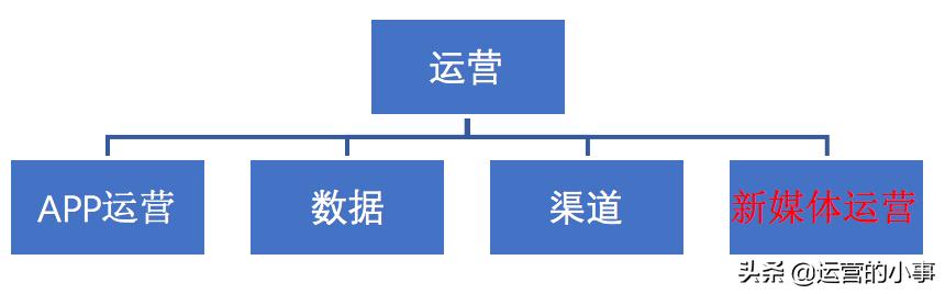 企业怎么搭建新媒体矩阵,新媒体矩阵内容运营