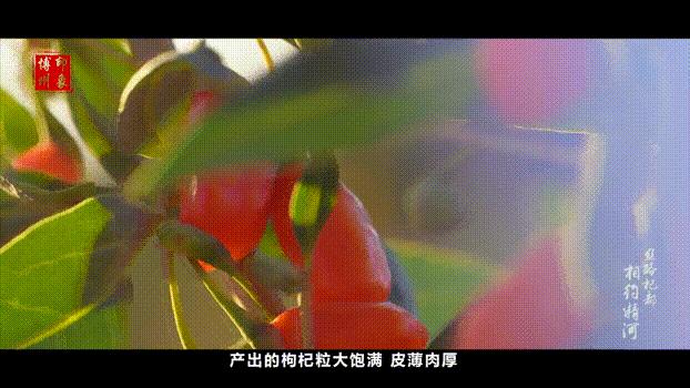 博州精河县全景,精河美景视频