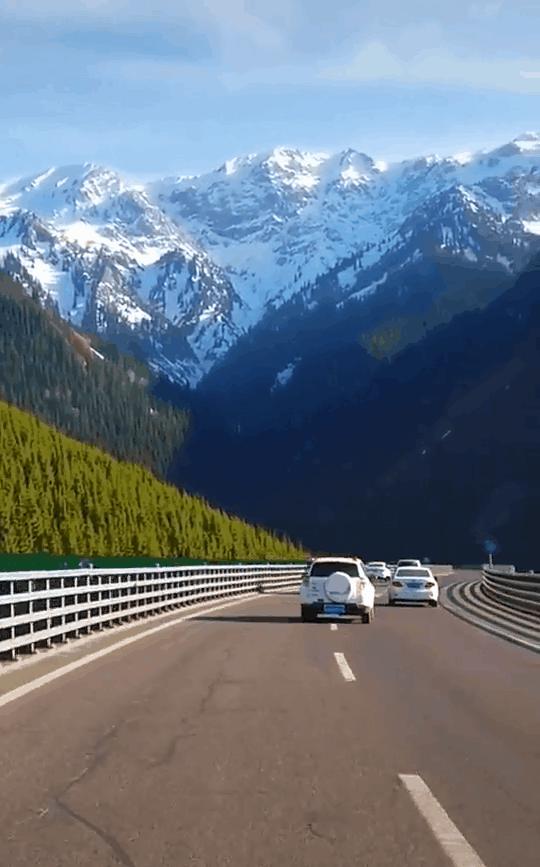 如果你不了解现实你就去看历史,如果你不了解历史就无法展望未来