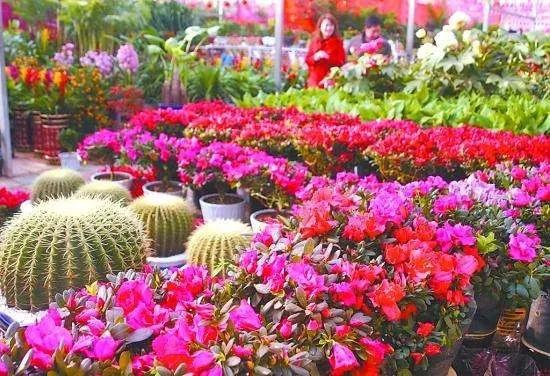 疫情结束后，每个秦皇岛人都想完成的50件小事