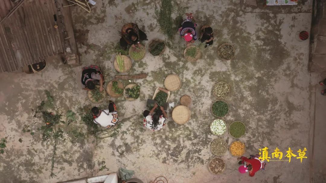 人有些啥病,民间神奇彝医真实故事