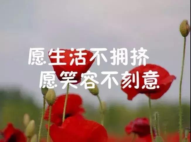 致自己的心情说说句句走心,句句经典适合发说说的心情短句