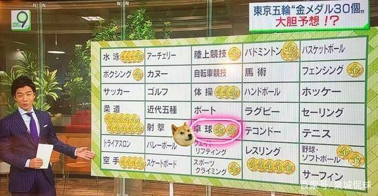 野心暴露了好不好,野心过早暴露