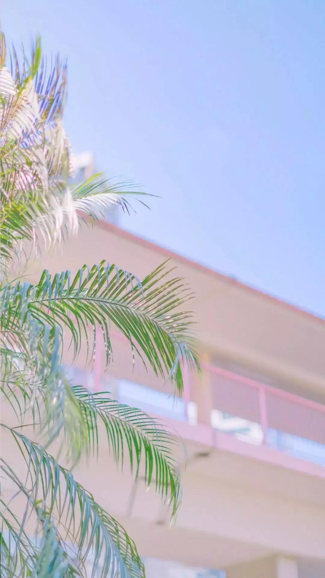 春风十里，不如安阳万达广场陪你。