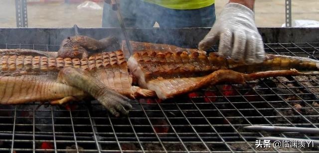 田鼠、猪鞭、臭屁虫、猪眼睛都不放过？食物链顶端的王者：广西人