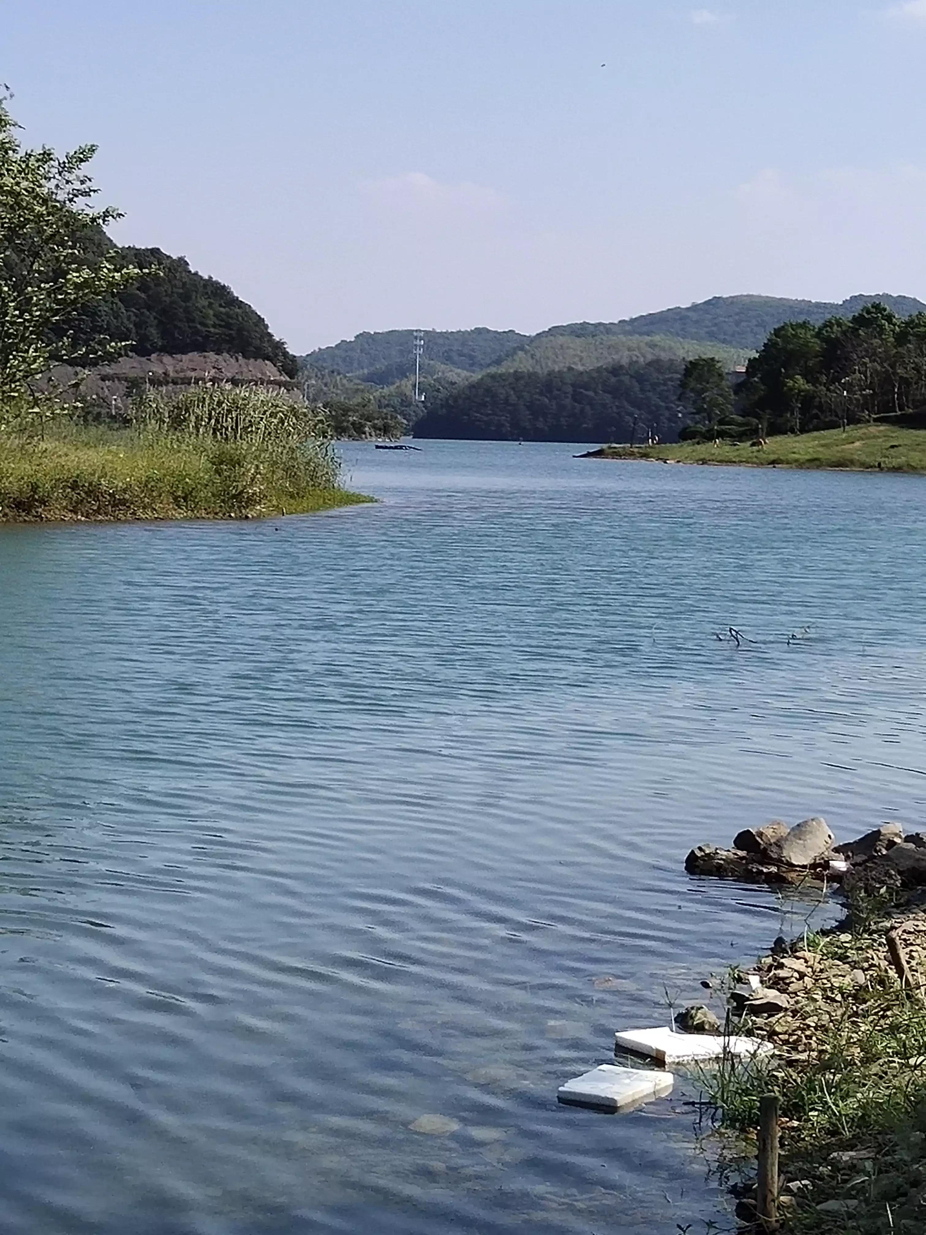 宁波镇海钓鱼野钓最新地点,宁波九龙湖水库钓鱼攻略