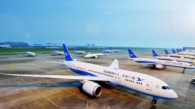 财经观察家包冉东阿阿胶,财经观察家包冉年化利率