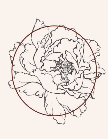 牡丹切瓣花国画画法,国画山茶花花瓣画法