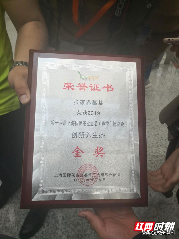 一片莓茶为何舞动上海滩