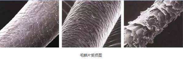 头发烫染导致脱发如何快速修复,头发烫染受损还想烫怎样护理